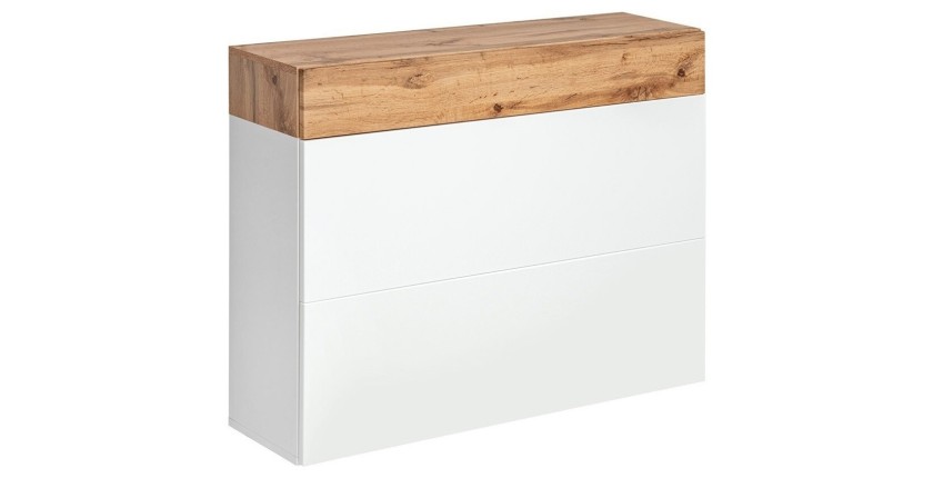 Meuble à chaussures collection TORTH 2 portes et 1 tiroir.