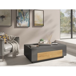 Table basse collection OHIO. Meuble type CONTEMPORAIN coloris gris et chêne.