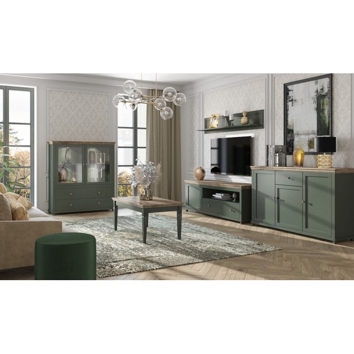 Ensemble de 5 meubles pour votre salon coloris vert et chêne. Collection ASSIA