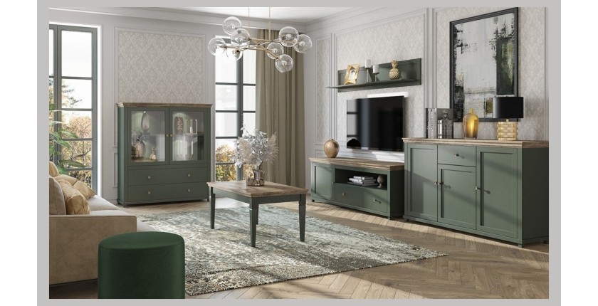 Ensemble de 5 meubles pour votre salon coloris vert et chêne. Collection ASSIA