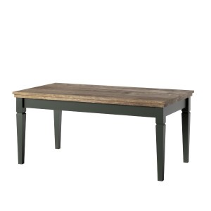 Ensemble de 5 meubles pour votre salon coloris vert et chêne. Collection ASSIA