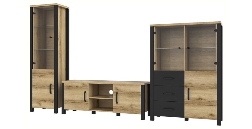 Ensemble de 3 meubles de salon collection DARWIN. Couleur chêne clair et noir.