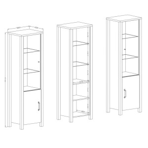 Ensemble de 6 meubles de salon collection DARWIN. Couleur chêne foncé et noir.