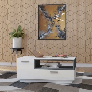 Table basse design collection BONO avec deux portes et une niche. Couleur blanc et gris.