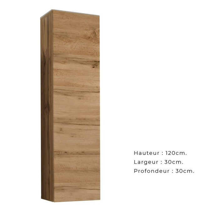 Armoire suspendue moyen modèle coloris chêne pour salon collection SWITCH.