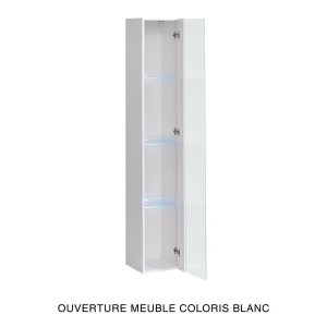 Vitrine suspendue noire avec 1 porte vitrée et éclairage LED inclus. Collection SWITCH.