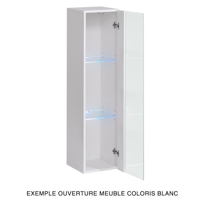 Vitrine suspendue noire petit modèle avec 1 porte vitrée et éclairage LED inclus. Collection SWITCH.