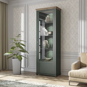 Vitrine 1 porte collection ASSIA. Coloris vert et chêne. Ouverture droite