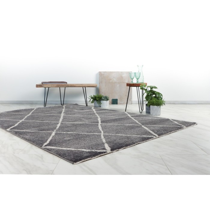 Tapis 170x120cm, gris - Confort et élégance pour votre intérieur