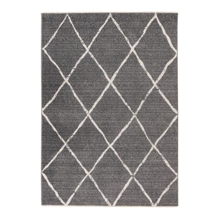 Tapis 170x120cm, gris - Confort et élégance pour votre intérieur