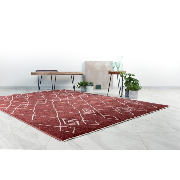 Tapis 150x80cm, design A205R coloris terracota - Confort et élégance pour votre intérieur
