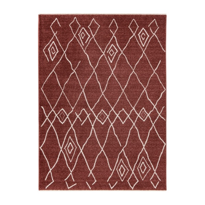 Tapis 170x120cm, design A205R coloris terracota - Confort et élégance pour votre intérieur