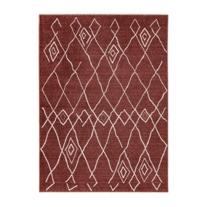 Tapis 290x200cm, design A205R coloris terracotta - Confort et élégance pour votre intérieur