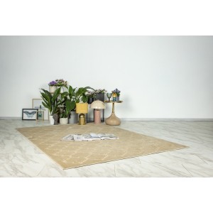 Tapis 290x200cm, design A102A coloris beige - Confort et élégance pour votre intérieur