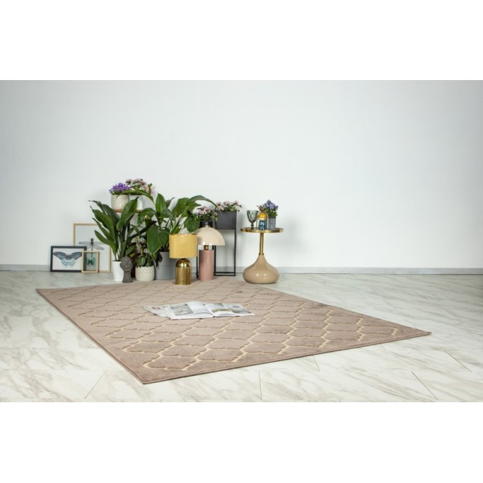 Tapis 150x80cm, design A102A coloris taupe - Confort et élégance pour votre intérieur