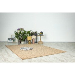 Tapis 170x120cm, design A202A coloris taupe - Confort et élégance pour votre intérieur