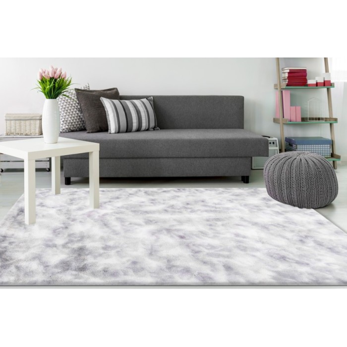 Tapis 170x120cm, design B005O coloris gris - Confort et élégance pour votre intérieur