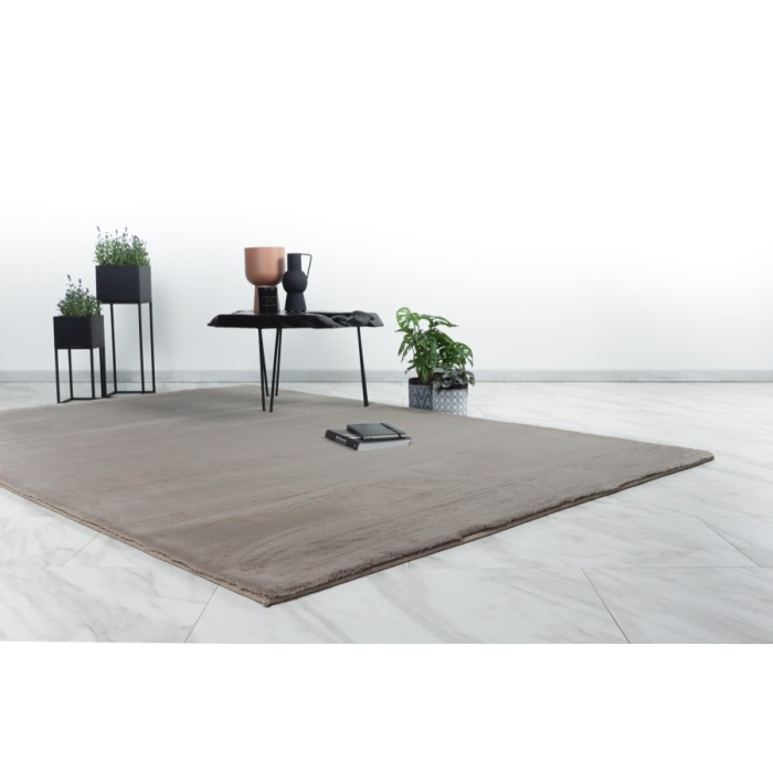 Tapis 170x120cm, design E005N coloris taupe - Confort et élégance pour votre intérieur