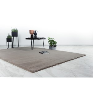 Tapis 170x120cm, design E005N coloris taupe - Confort et élégance pour votre intérieur