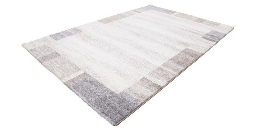 Tapis 290x200cm, design F005G coloris beige argenté - Confort et élégance pour votre intérieur