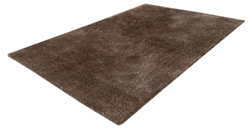 Tapis 170x120cm, design G008R coloris taupe - Confort et élégance pour votre intérieur