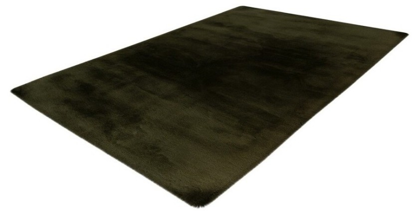 Tapis 290x200cm, design H008N coloris vert basilic - Confort et élégance pour votre intérieur