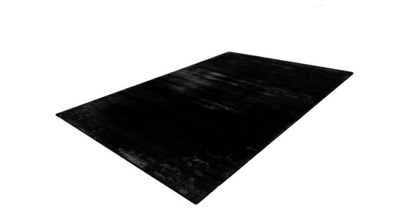 Tapis 170x120 cm, design H008N coloris noir - Confort et élégance pour votre intérieur