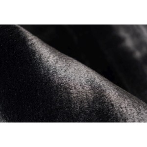 Tapis 170x120 cm, design H008N coloris noir - Confort et élégance pour votre intérieur