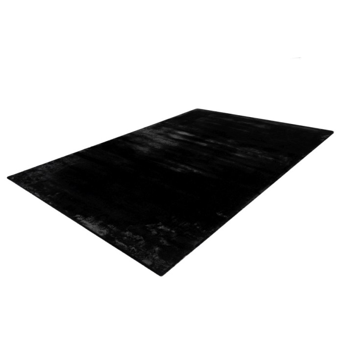 Tapis 290x200cm, design H008N coloris noir - Confort et élégance pour votre intérieur
