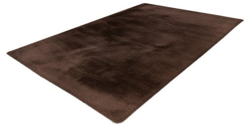 Tapis 170x120cm, design H008N coloris taupe foncé - Confort et élégance pour votre intérieur