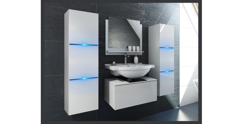 Ensemble meubles de salle de bain collection OWL, coloris blanc mat et brillant avec deux colonnes