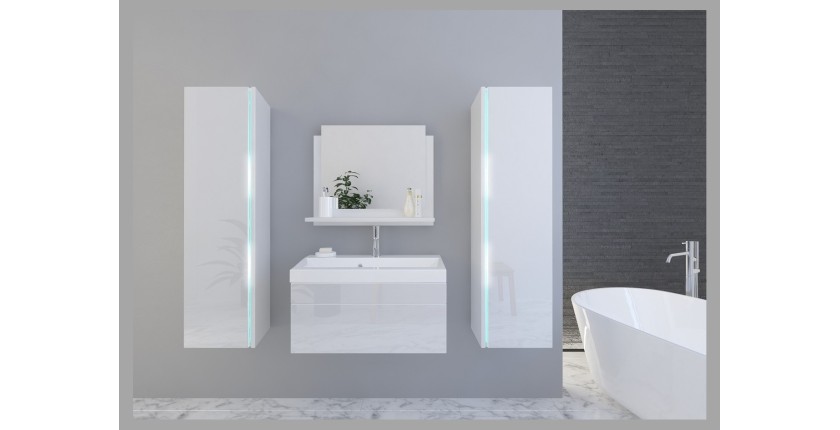 Ensemble meubles de salle de bain collection BIRD, coloris blanc mat et brillant avec deux colonnes et vasque 80cm
