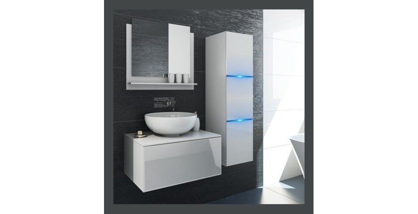 Ensemble meubles de salle de bain collection OWL, coloris blanc mat et brillant avec une colonne sans vasque