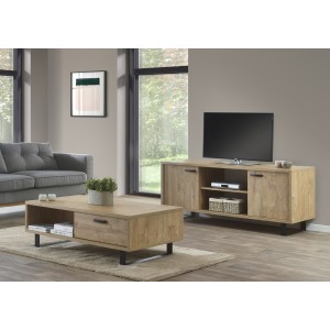 Meuble TV NEWTON – Chêne doré avec 2 portes, 2 tiroirs et niches – L170 x H68 x P50 cm