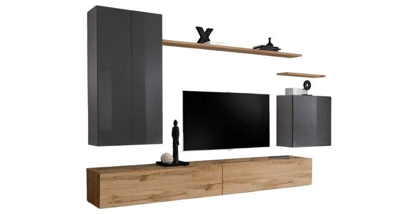 Ensemble de meubles de salon collection SWITCH II design, coloris gris et chêne Wotan.