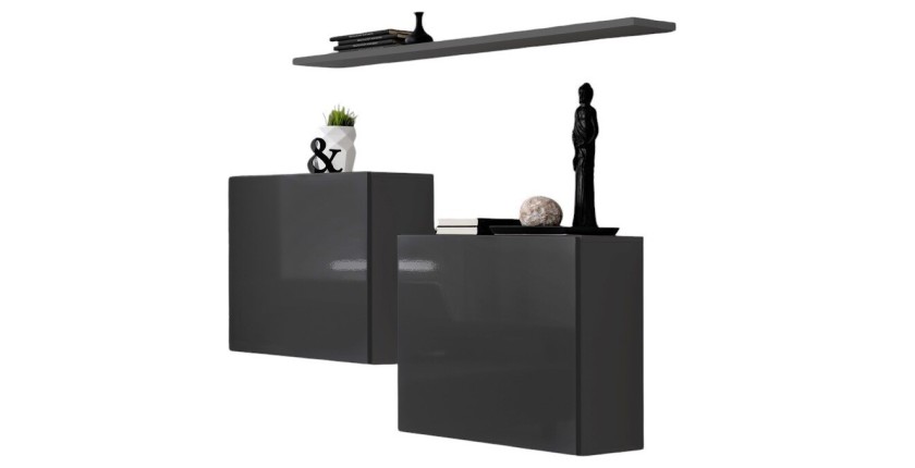 Ensemble meubles de salon SWITCH SBI design, coloris gris brillant.