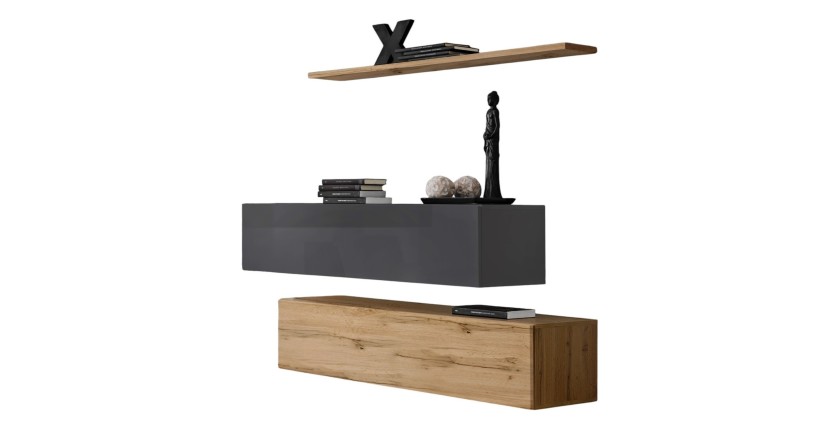 Ensemble meubles de salon SWITCH SBII design, coloris chêne Wotan et gris brillant.