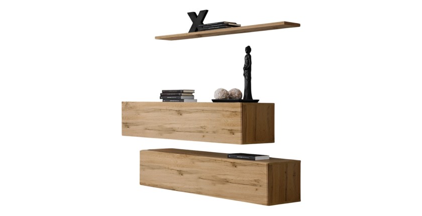 Ensemble meubles de salon SWITCH SBII design, coloris chêne Wotan.