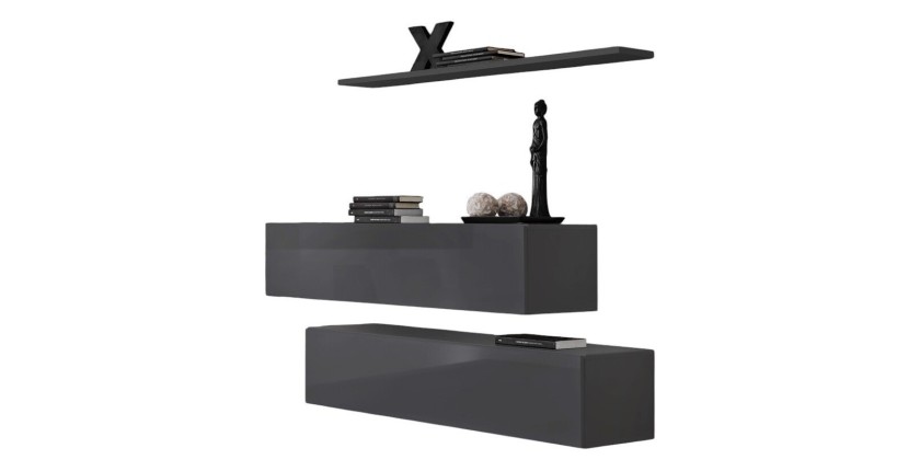Ensemble meubles de salon SWITCH SBII design, coloris gris brillant.