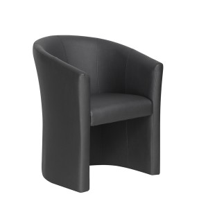 Fauteuil de salon KYOTO – Confortable – Noir – Style vintage