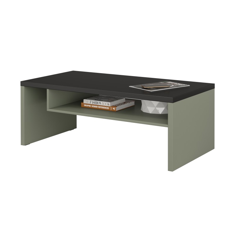 Table basse HAVANA – Vert sauge et noir – Plateau noir mat – Avec niche – Design moderne