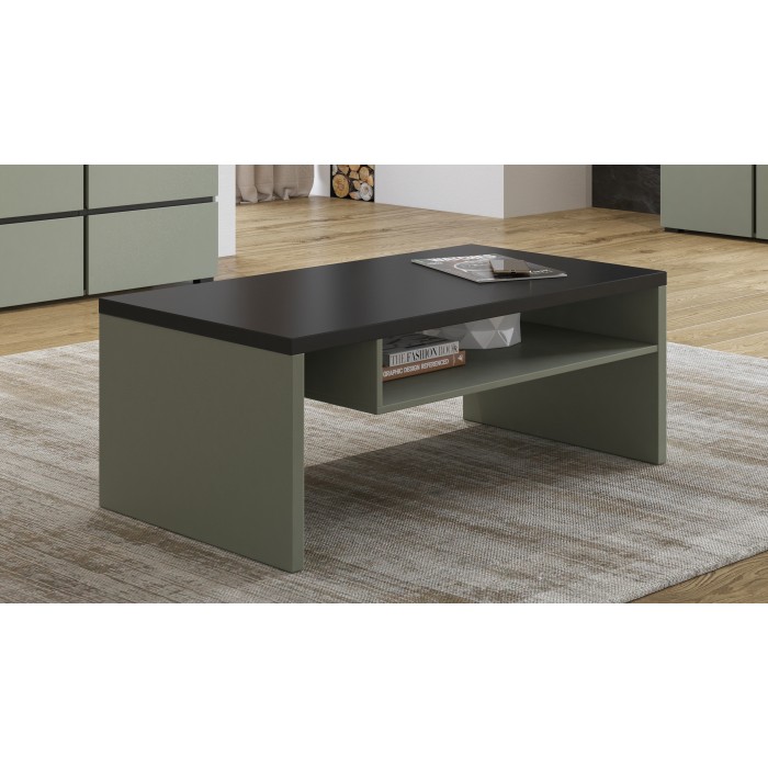 Table basse HAVANA – Vert sauge et noir – Plateau noir mat – Avec niche – Design moderne