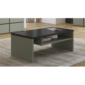 Table basse HAVANA – Vert sauge et noir – Plateau noir mat – Avec niche – Design moderne
