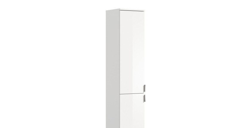 Armoire de rangement BODITE – 2 portes – Blanc laqué – Design moderne et pratique 