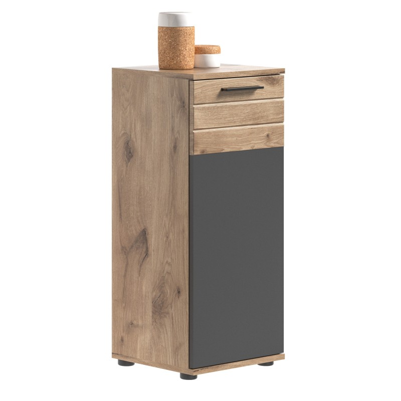 Meuble de rangement 1 porte – Gris anthracite et chêne clair – SELMA 