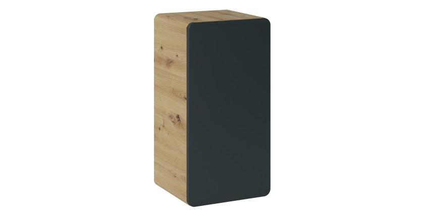 Meuble de rangement salle de bain suspendu ERBANO – 1 porte – Coloris chêne clair et gris anthracite 