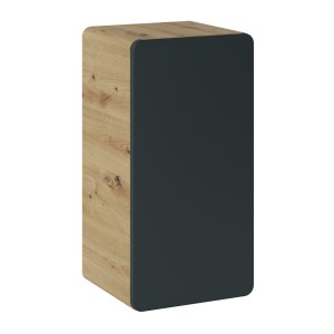 Meuble de rangement salle de bain suspendu ERBANO – 1 porte – Coloris chêne clair et gris anthracite 