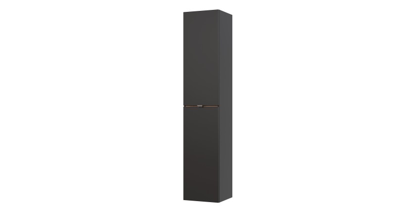 Colonne de salle de bain NALYA – 1 porte – Coloris gris anthracite et chêne clair – 170 cm – À suspendre 