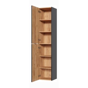 Colonne de salle de bain NALYA – 1 porte – Coloris gris anthracite et chêne clair – 170 cm – À suspendre 