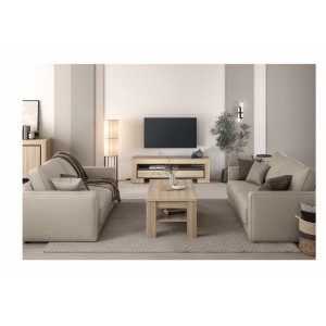 Meuble TV collection COPA – 160x50,5x41 cm – 2 tiroirs et 2 niches – Chêne élégant – Design scandinave